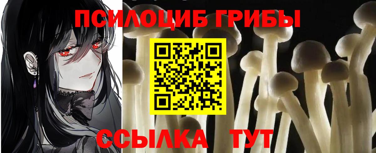 Зеленокумск  Псилоцибиновые грибы Magic Shrooms  Вход с VPN 
